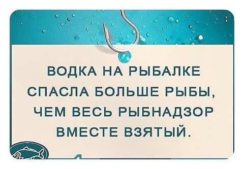 Водка на рыбалке