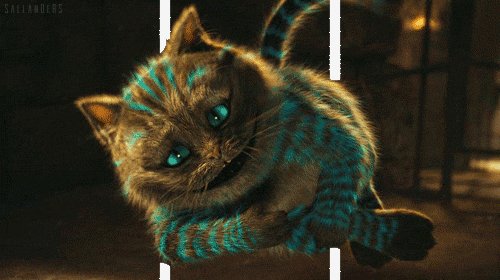 gif5