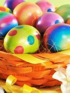 file_72956030