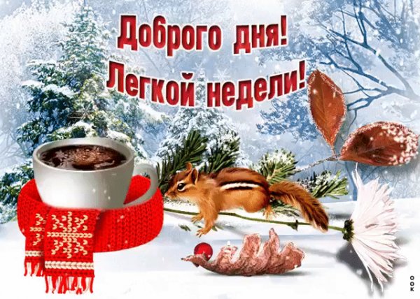 IMG 20210118 233701