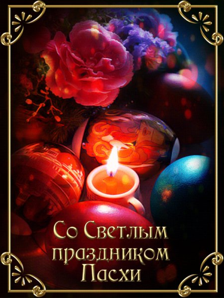 file_84185594
