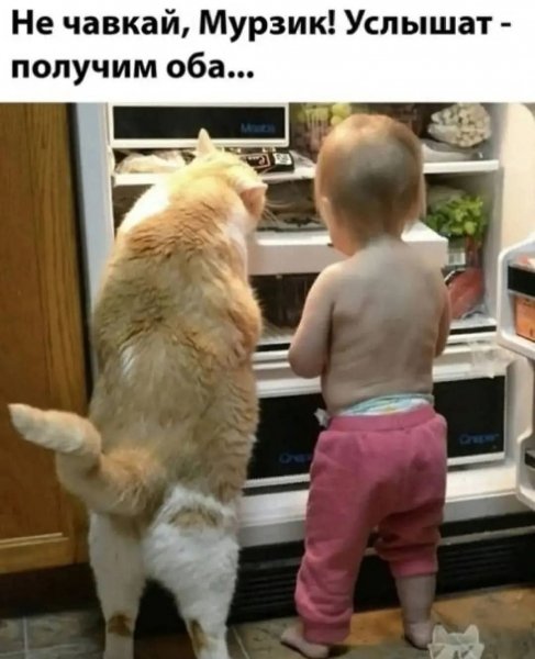 FB IMG 1762247733628