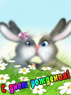 -S dnem rozhdenija-Animacija
