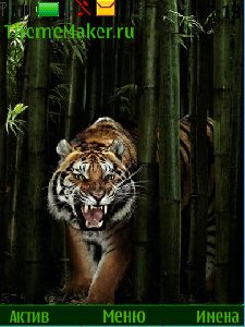 Tigr Bambuk