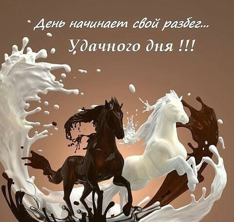 Udachnogo dnya