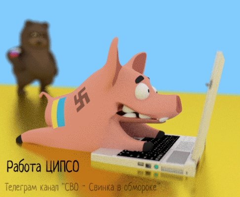 Работа ЦИПСО - GIF