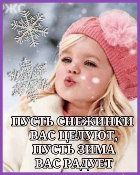 qSiOZsoc11Y