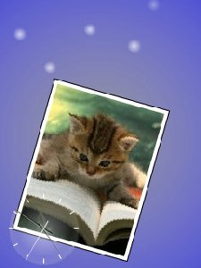 Slide kitty