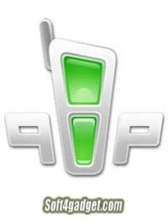 QIP 2010 Build 4345