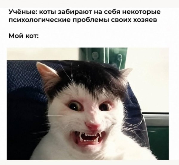 file_103253952