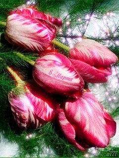 file_55594092