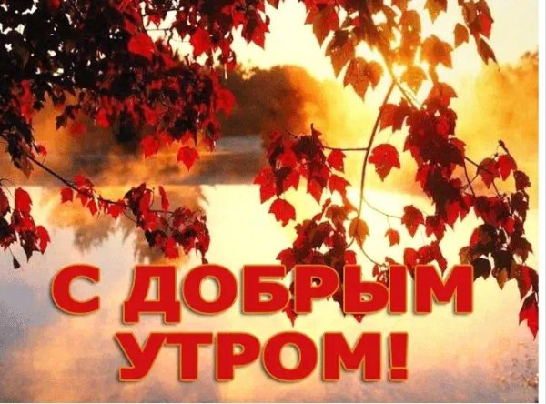 IMG 20191101 082141