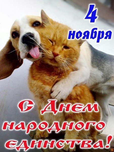 Открытка 4 ноября с днем народного единства