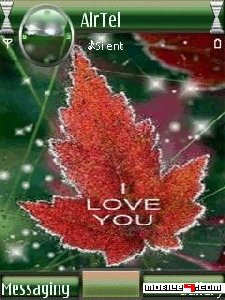 I love you