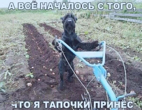 IMG 20260807 233240 005