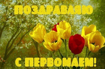 file_81321010