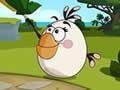 Angry Birds Matilda Puzzle