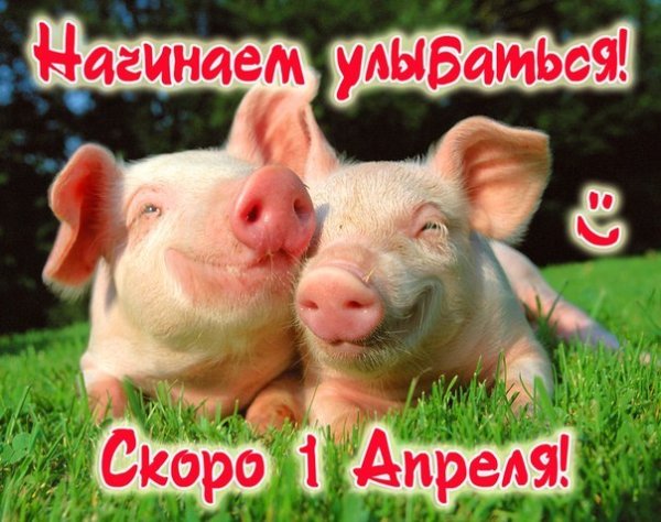 С 1 Апреля (7)