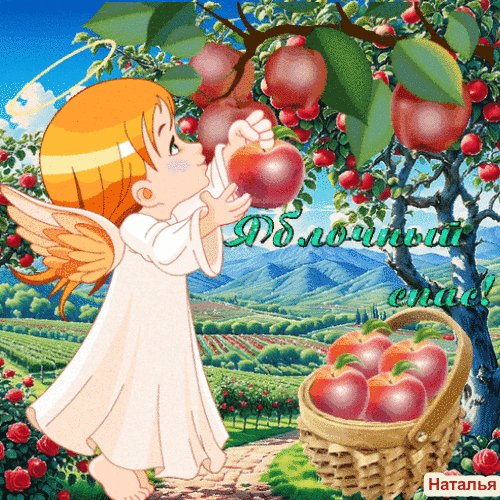 file_97484097