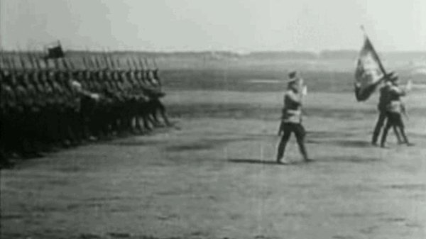 81ar