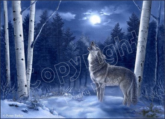 HowlingAtTheMoon