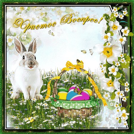 irinahochweis-Pascha-3gif