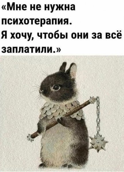 FB IMG 1734199029506