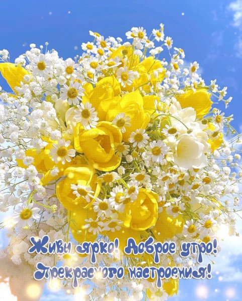 Доброе утро