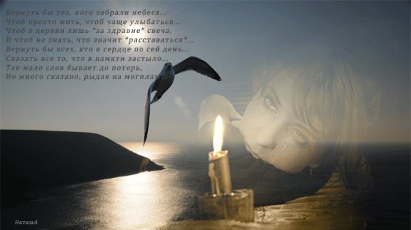 file_62954458
