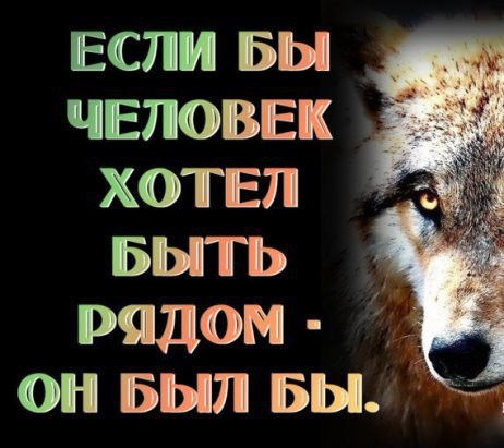 Если бы...