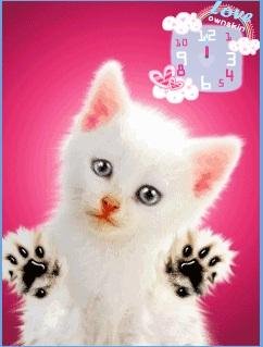 kitty