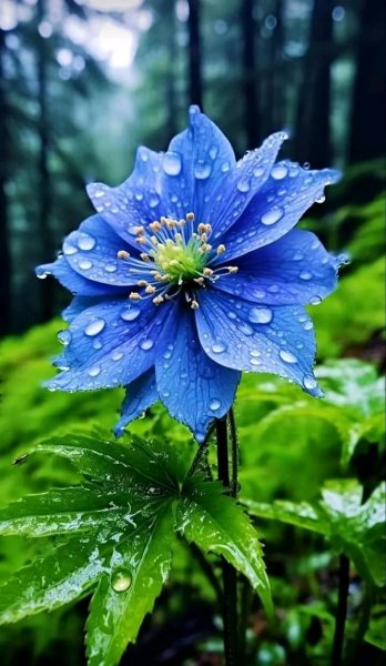 file_96269901