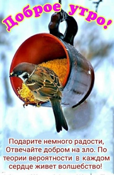 Доброе утро