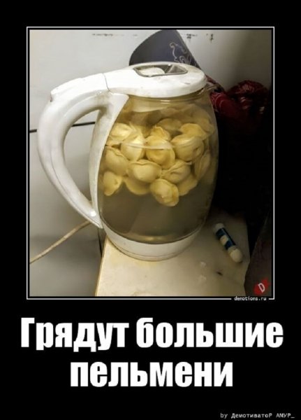 В общаге праздник - пельмени