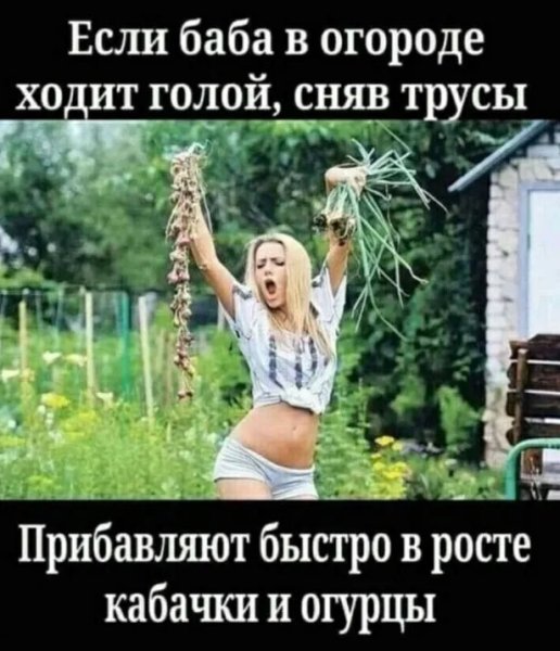 IMG 20260817 180054