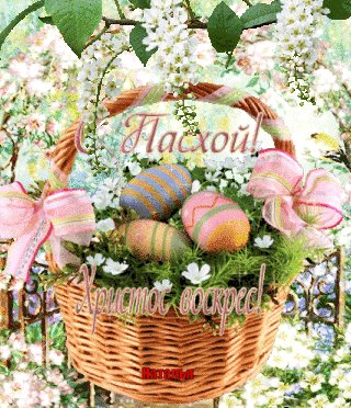 file_77381825