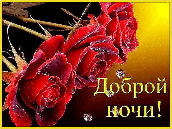 Анимированная открытка спокойной ночи (3)