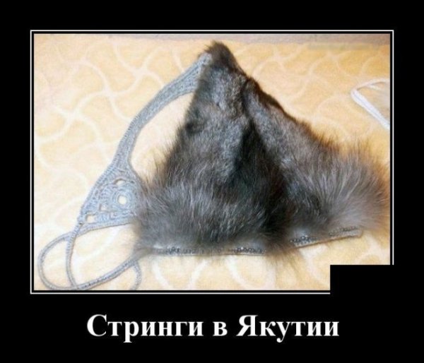 file_75588881