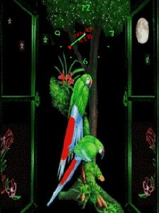 73Parrots