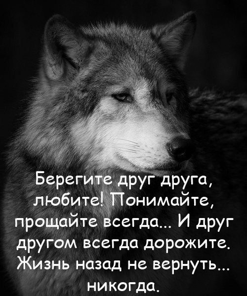 IMG 20191119 233226