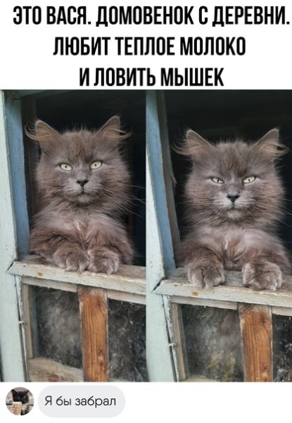 file_96418093
