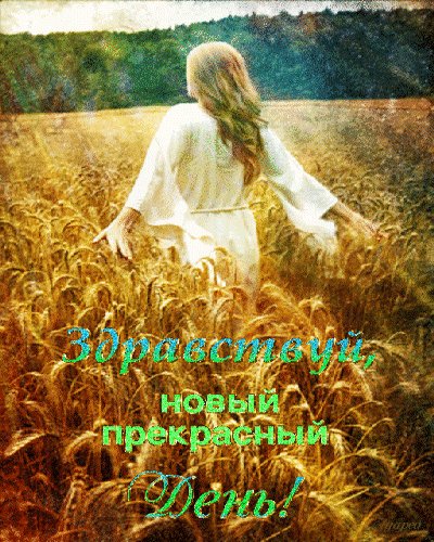 анимированная открытка здравствуй новый