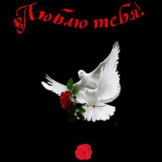 1люблю тебя