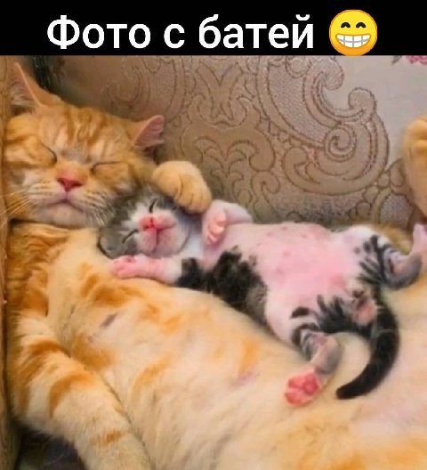 file_83859922