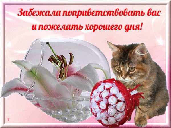 Забежала пожелать хорошего дня!