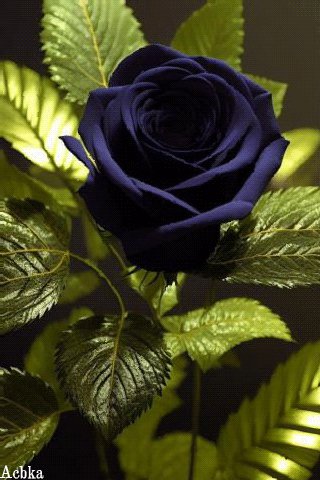 file_93648326