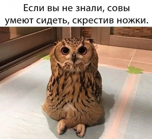 file_96214560