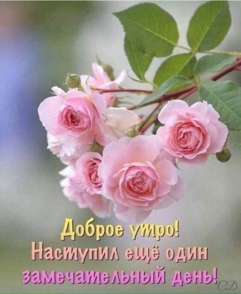 IMG 20190715 224314