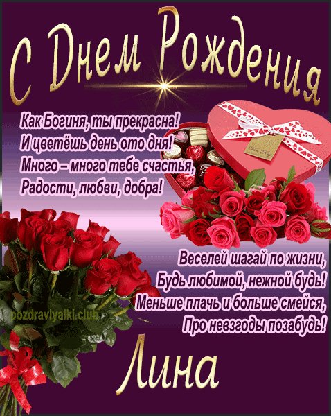 16 lina