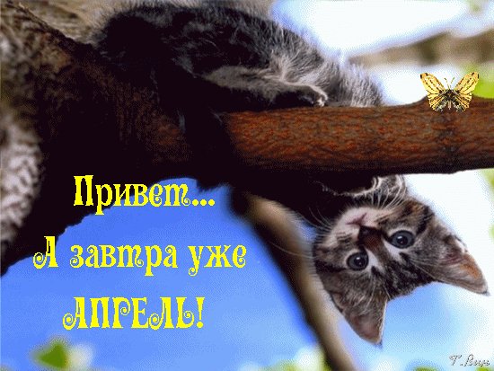 Анимированная открытка привет а завтра